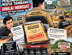 Isyarat Perlindungan terhadap Mafia Tambang Dinilai Menguat, Kasus PETI Kades Singengu Julu Disebut Mandek