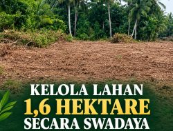Kelola Lahan 1,6 Hektare Secara Swadaya, Kelompok Tani Desa Rukmajaya Harafkan Bantuan Pemerintah Pusat