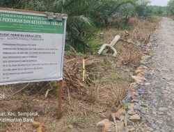 Proyek Jalan Usaha Tani Rp 87 Juta di Sepinggan Semparuk Diduga Dikerjakan Asal Tabur Batu